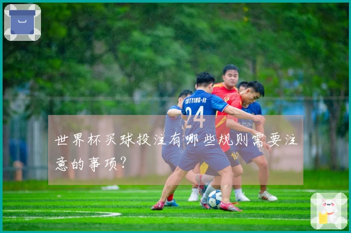 世界杯买球投注有哪些规则需要注意的事项？