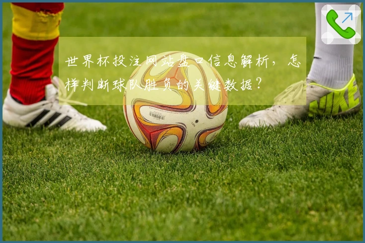 世界杯投注网站盘口信息解析，怎样判断球队胜负的关键数据？