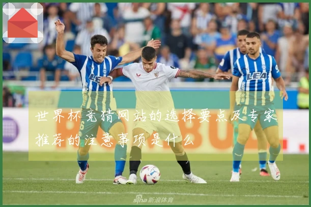 世界杯竞猜网站的选择要点及专家推荐的注意事项是什么