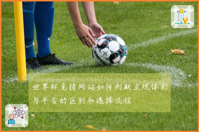 世界杯竞猜网站如何判断正规体彩与平台的区别和选择流程