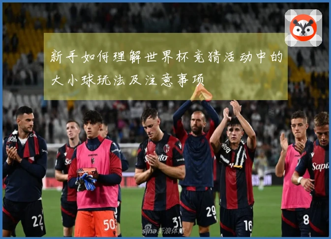 新手如何理解世界杯竞猜活动中的大小球玩法及注意事项