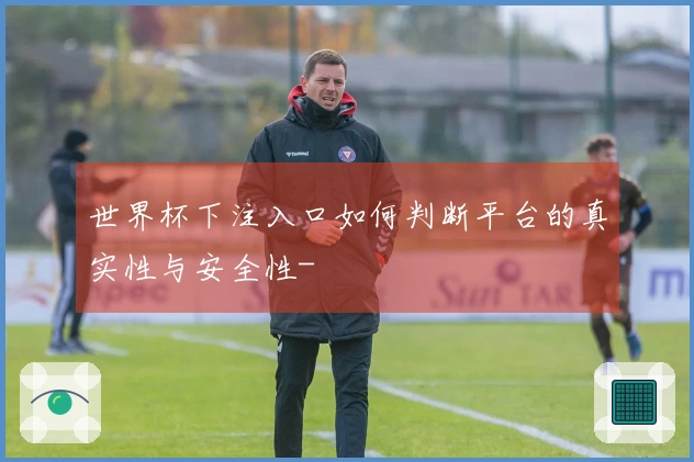 世界杯下注入口如何判断平台的真实性与安全性-