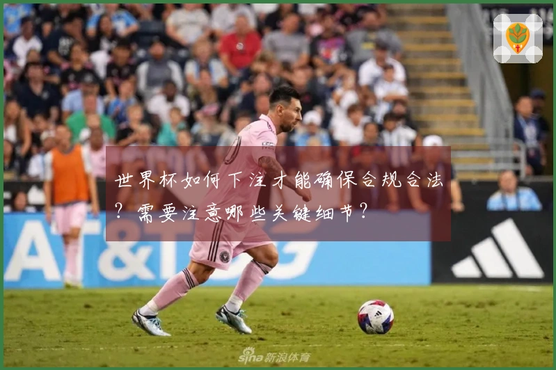 世界杯如何下注才能确保合规合法？需要注意哪些关键细节？