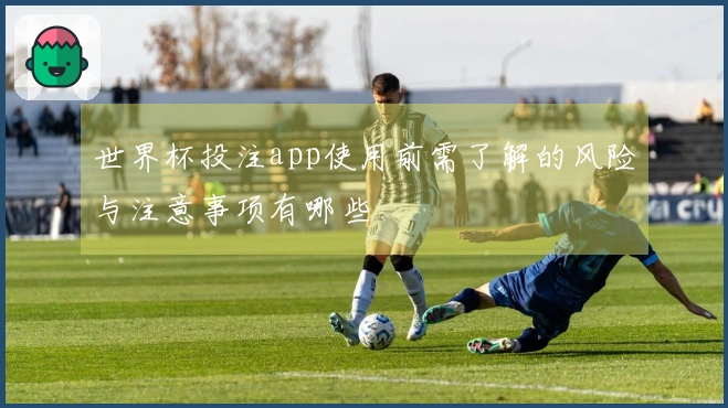 世界杯投注app使用前需了解的风险与注意事项有哪些