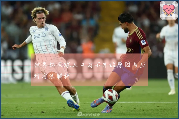 世界杯买球入口打不开的原因与应对方法解析