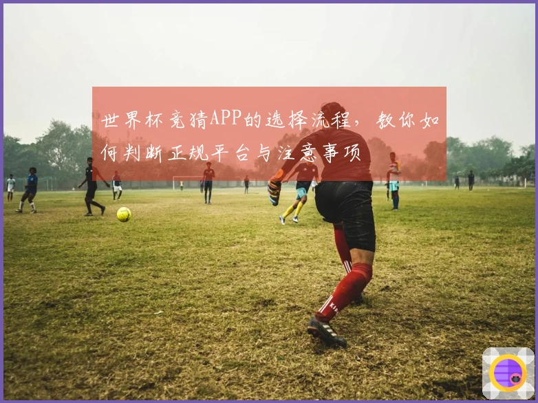 世界杯竞猜APP的选择流程，教你如何判断正规平台与注意事项