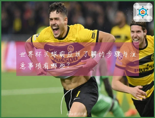 世界杯买球前应该了解的步骤与注意事项有哪些？