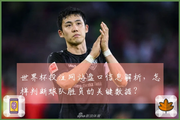 世界杯投注网站盘口信息解析，怎样判断球队胜负的关键数据？