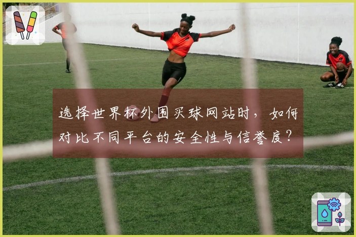 选择世界杯外围买球网站时，如何对比不同平台的安全性与信誉度？