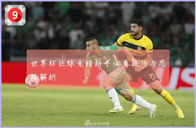 世界杯让球竞猜新手必看技巧与思路解析