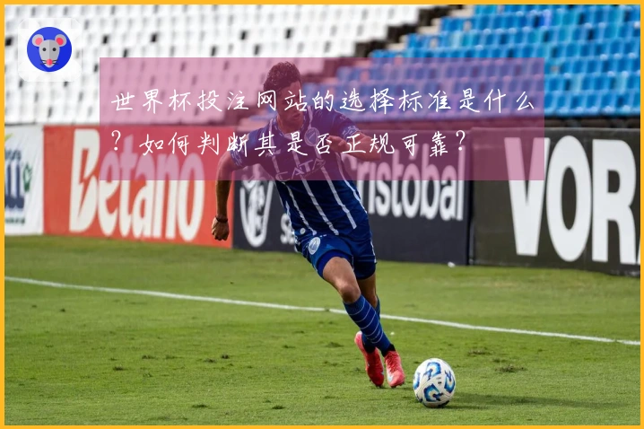 世界杯投注网站的选择标准是什么？如何判断其是否正规可靠？