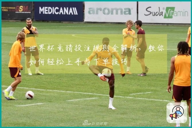 世界杯竞猜投注规则全解析，教你如何轻松上手与下单技巧