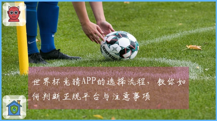 世界杯竞猜APP的选择流程，教你如何判断正规平台与注意事项