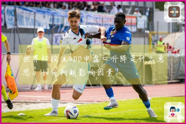 世界杯投注app中盘口升降是什么意思，如何判断影响因素？