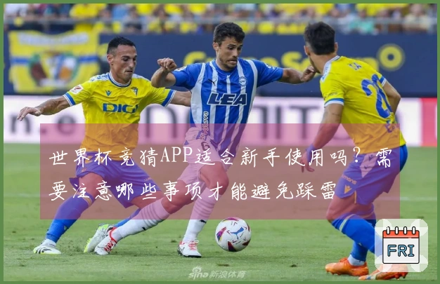 世界杯竞猜APP适合新手使用吗？需要注意哪些事项才能避免踩雷