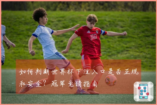 如何判断世界杯下注入口是否正规和安全？冠军竞猜指南
