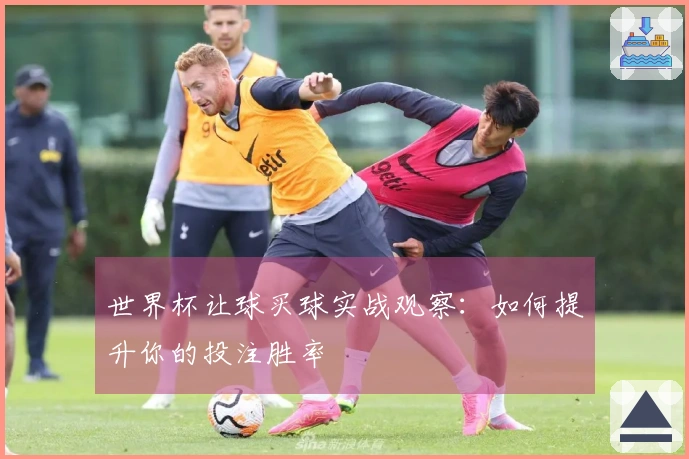 世界杯让球买球实战观察：如何提升你的投注胜率