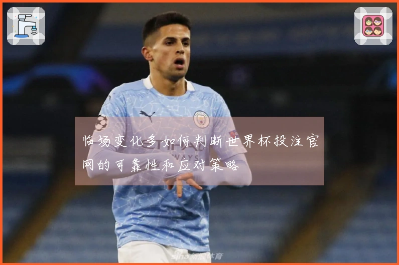 临场变化多如何判断世界杯投注官网的可靠性和应对策略