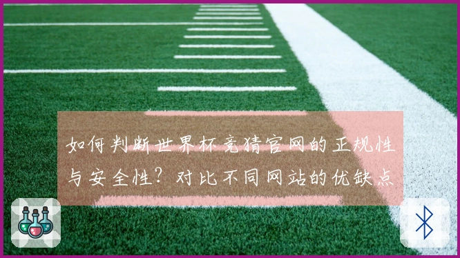 如何判断世界杯竞猜官网的正规性与安全性？对比不同网站的优缺点解析
