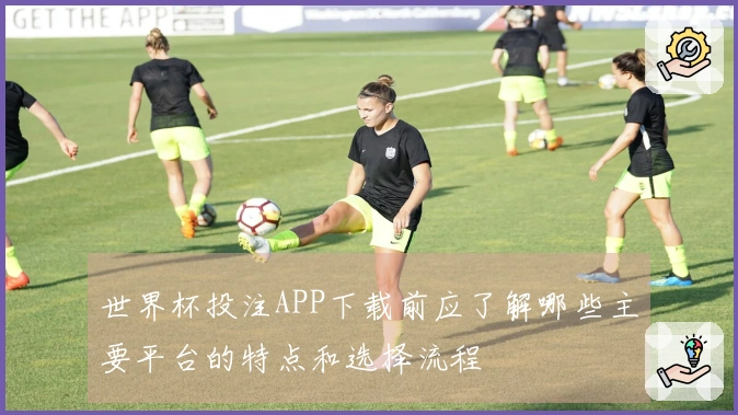 世界杯投注APP下载前应了解哪些主要平台的特点和选择流程