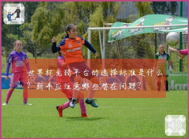 世界杯竞猜平台的选择标准是什么？新手应注意哪些潜在问题？