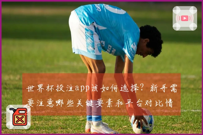 世界杯投注app该如何选择？新手需要注意哪些关键要素和平台对比情况