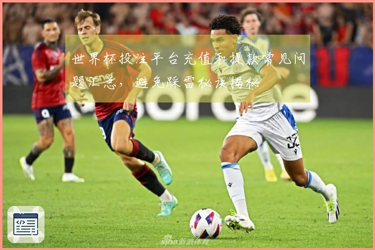 世界杯投注平台充值和提款常见问题汇总，避免踩雷秘诀揭秘