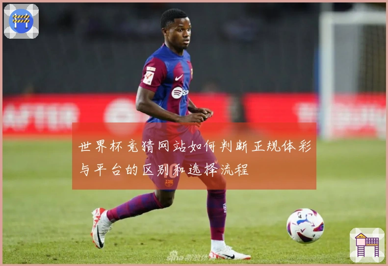 世界杯竞猜网站如何判断正规体彩与平台的区别和选择流程