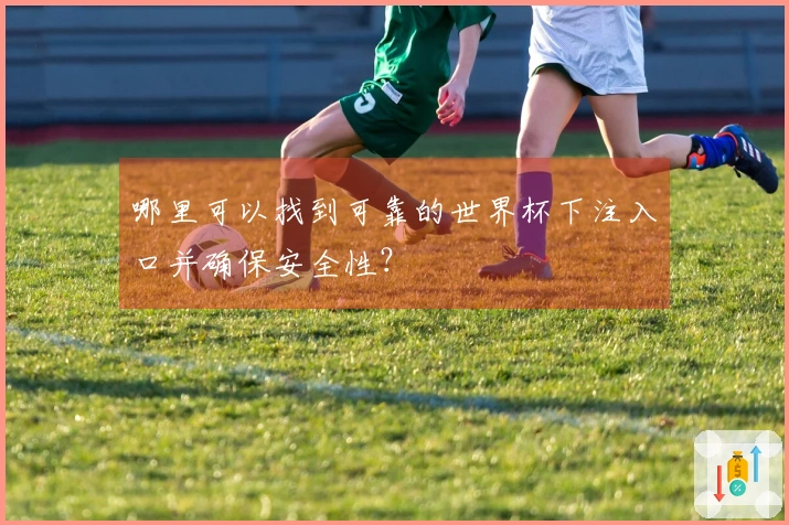 哪里可以找到可靠的世界杯下注入口并确保安全性？