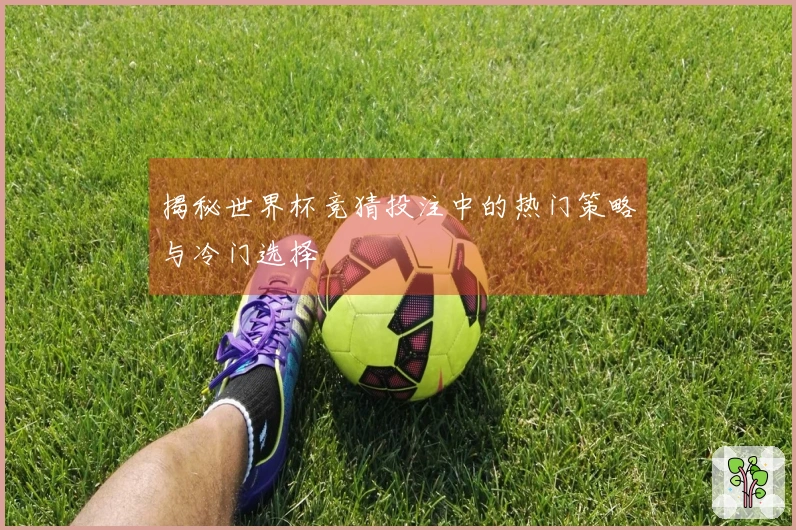 揭秘世界杯竞猜投注中的热门策略与冷门选择