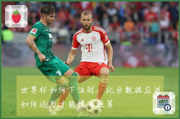 世界杯如何下注时，比分数据应该如何运用才能提高胜算