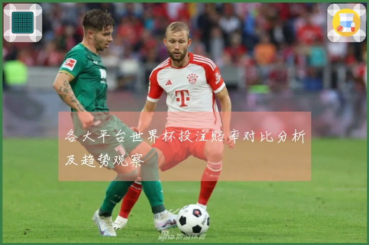 各大平台世界杯投注赔率对比分析及趋势观察