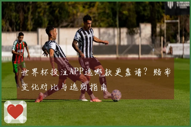 世界杯投注APP选哪款更靠谱？赔率变化对比与选购指南