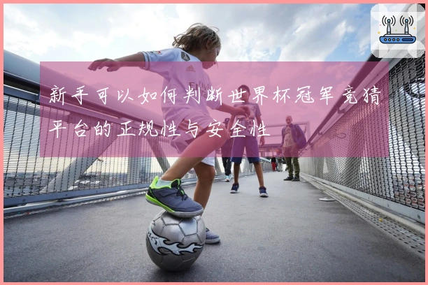 新手可以如何判断世界杯冠军竞猜平台的正规性与安全性