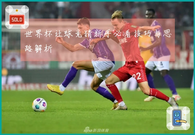 世界杯让球竞猜新手必看技巧与思路解析