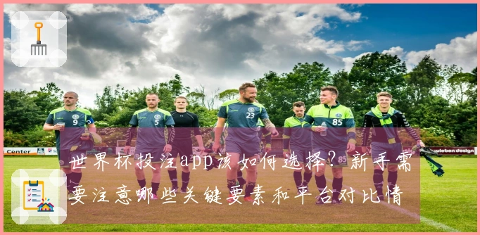 世界杯投注app该如何选择？新手需要注意哪些关键要素和平台对比情况