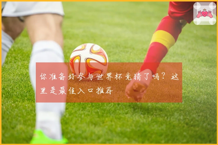 你准备好参与世界杯竞猜了吗？这里是最佳入口推荐